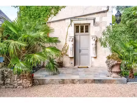 manoir à vendre à bléré