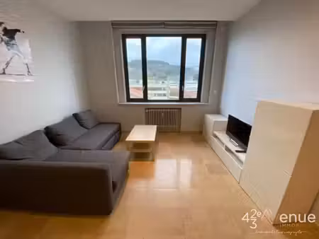 quartier libération/t2 meublé à louer