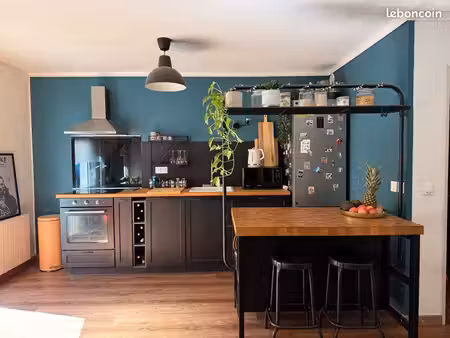 appartement tassin