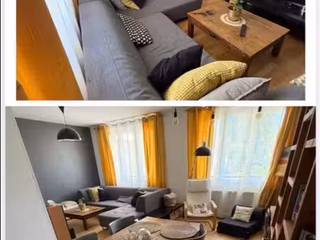 bel appartement villeurbanne