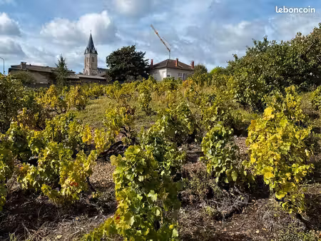 terrain viabilisé centre village quincié en beaujolais