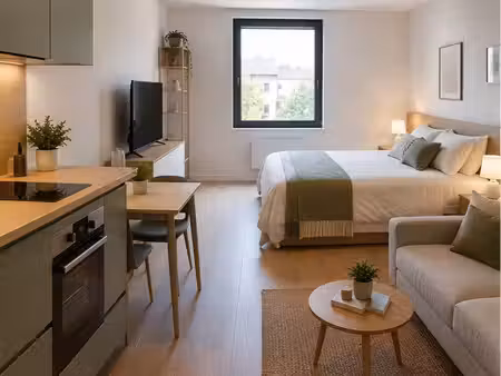 studio 20m2 entièrement refait à neuf