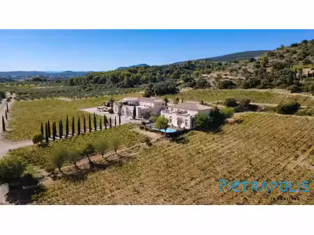 domaine viticole d'exception – terrasses du larzac