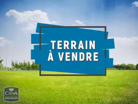 terrain