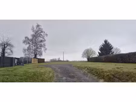 terrain