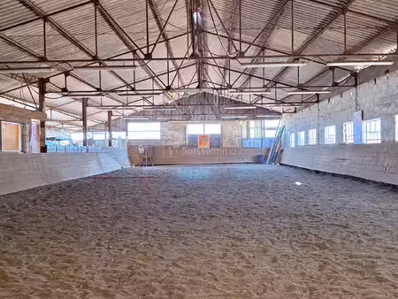 centre equestre avec manege couvert et cabinet d'equitherapie