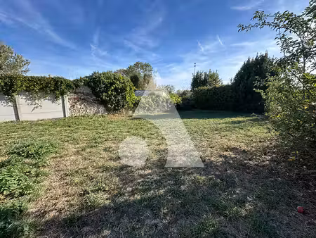 terrain