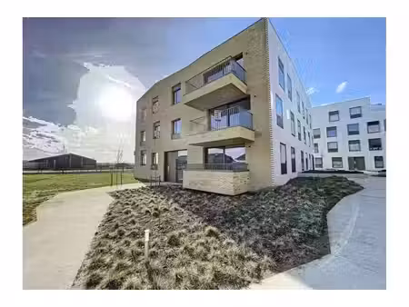 appartement à louer à molenheide 68 breendonk (vbe70510)