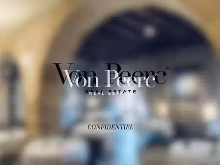 vente ensemble immobilier 12 pièces