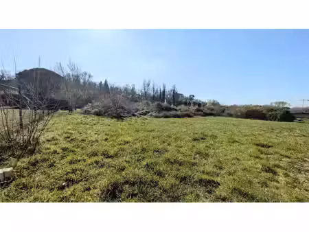 terrain