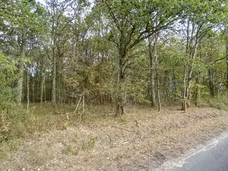 terrain d'agrément boisé à mennetou sur cher