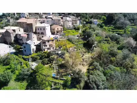 à acheter 109610 eur à piève : terrain avec l'agence bastia ba