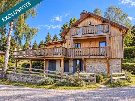 gérardmer- chalet divisé en 2 appartements vue lac