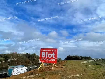 vente terrain saint allouestre 56500 3344m²
