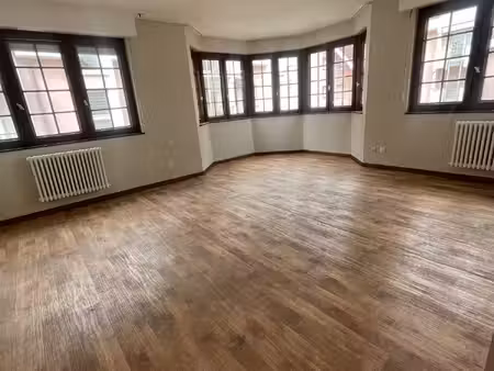 appartement 3-4 pièces rénové centre historique mulhouse