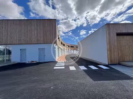 vente local d’activités castanet tolosan 31320 118m²