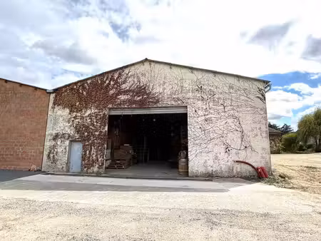 vente local d’activités 300m²