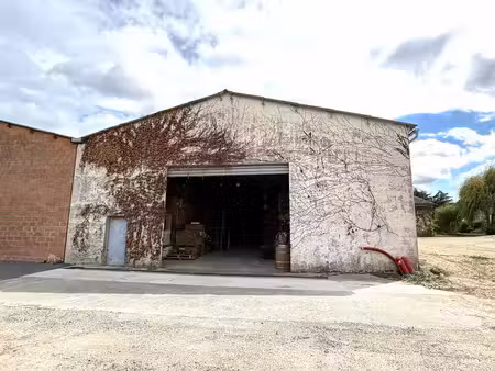 vente local d’activités saint loubes 33450 300m²