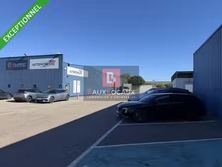 vente commerce avignon 84140 2100m²