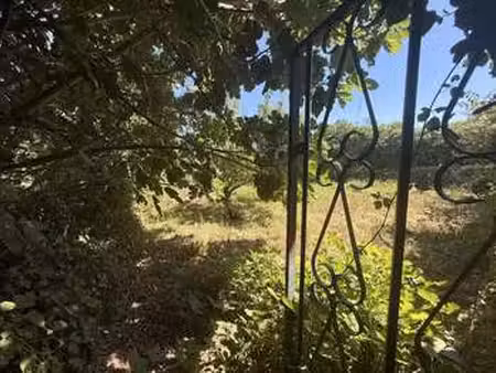 vente terrain à île-aux-moines (56780) : à vendre / 506m² île-aux-moines