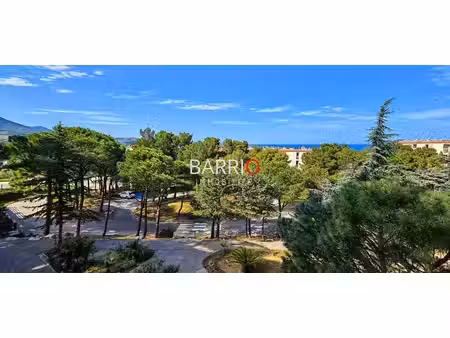 vente appartement 1 pièces 45m2 banyuls-sur-mer (66650) - 99000 € - surface privée