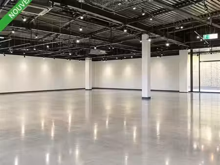 location commerce vesoul 923 m²