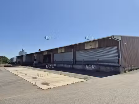 location entrepôt 1000m²