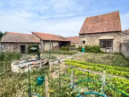 le montet maison + cour + cave + jardin + puits + garage + dépendances