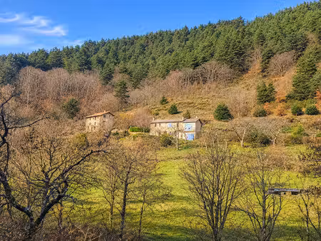 maison de campagne en pierres avec environ 3ha de terrain