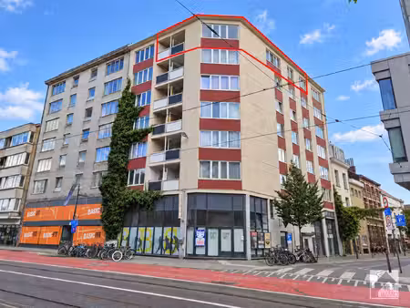 appartement te koop in borgerhout met 3 slaapkamers