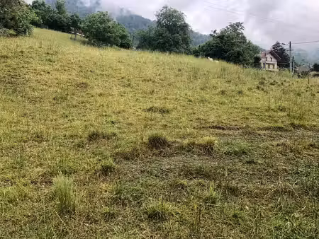 achat terrain 1 036m²