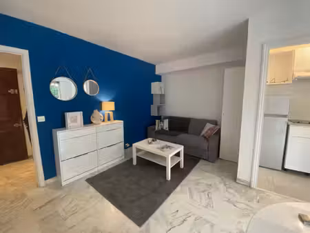 cannes  bas carnot  grand studio meublé 30m2 avec terrasse au calme   très bon état  cave 
