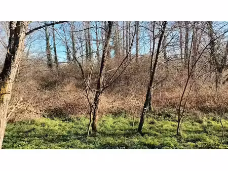vente terrain à batir 5516 m² à villandraut (33730)  12 500 €