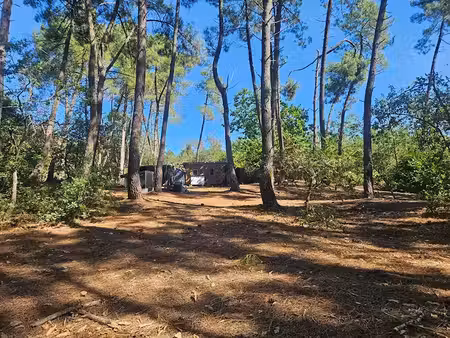 vente terrain 2785 m² à bazouges-sur-le-loir (72200)  18 000 €