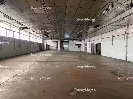 vente entrepôt serres-castet 64121 2800m²