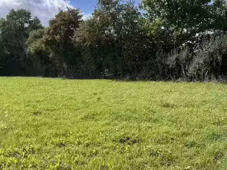 vente terrain 371 m² à le chevain (72610)  38 955 €