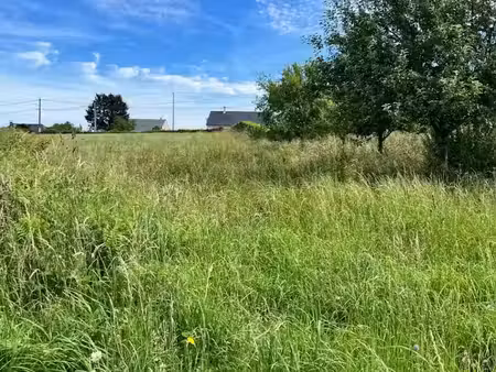 vente terrain 1500 m² à roannes-saint-mary (15220)  37 500 €