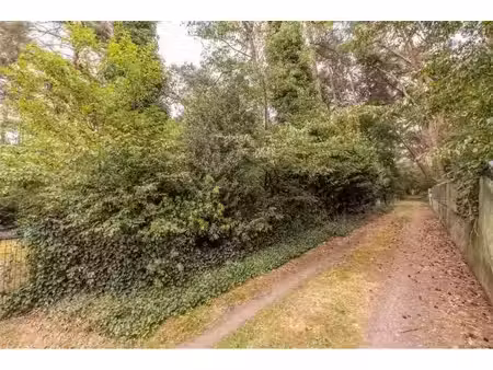 terrain agricole à vendre à huls c68e vorselaar (rbw97129)