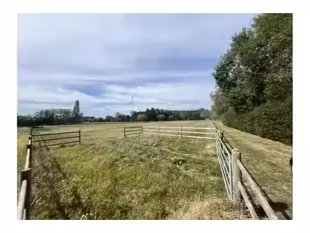 terrain agricole à vendre de 23083 m² à steenokkerzeel (rbw97227)