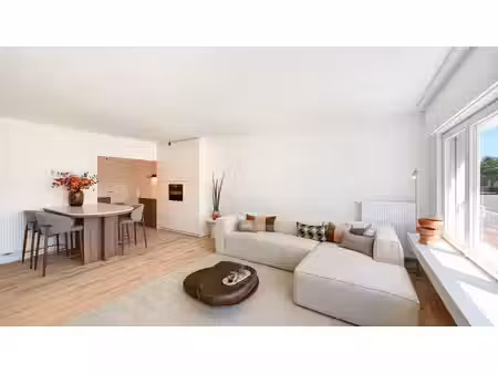 willem cauwels real estate