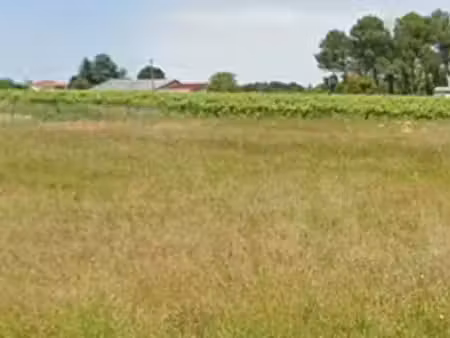 vente terrain 1100 m² cavignac (33620)