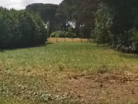 vente terrain 990 m² langon (33210)