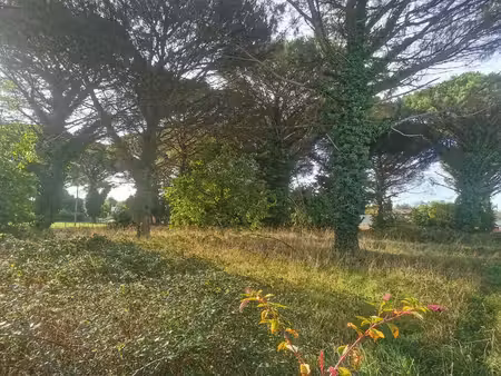 vente terrain 1000 m² saint-maixant (33490)