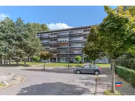 appartement te huur in hoboken met 1 slaapkamer
