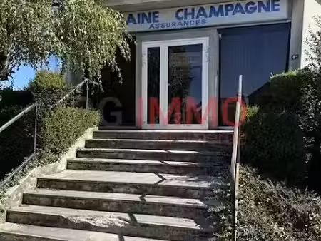 vente locaux professionnels 9 pièces 346 m² à saint-dizier (52100)  169 000 €