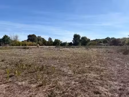vente terrain 1000 m² léognan (33850)