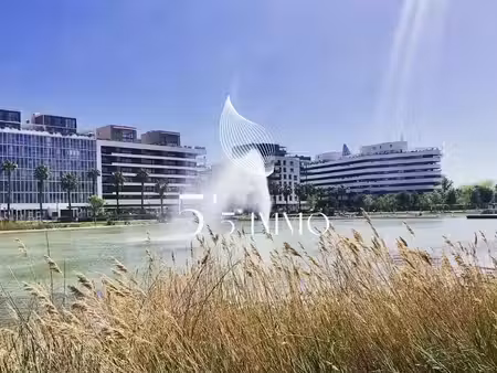 vente locaux professionnels 2 pièces 39 m² à montpellier (34000)  255 000 €