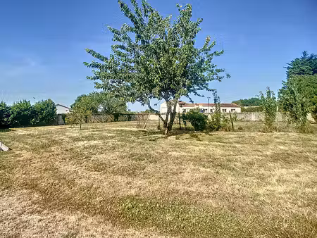 terrain