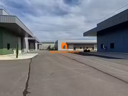 vente locaux professionnels 1 pièce 378 m² à montelimar (26200)  392 333 €