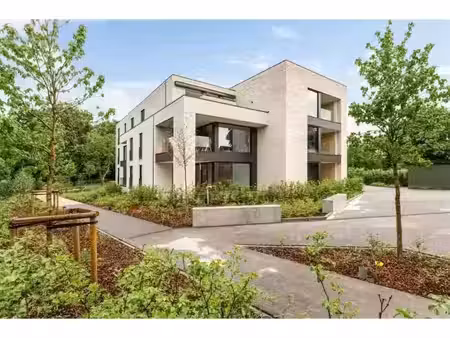 appartement à vendre à lichtveld 9 tessenderlo (rbw97491)